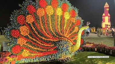 The Noida Flower Festival 2026 brings colourful floral displays, theme gardens and sustainability workshops to Shivalik Park from February 19 to 22, with free entry for visitors.