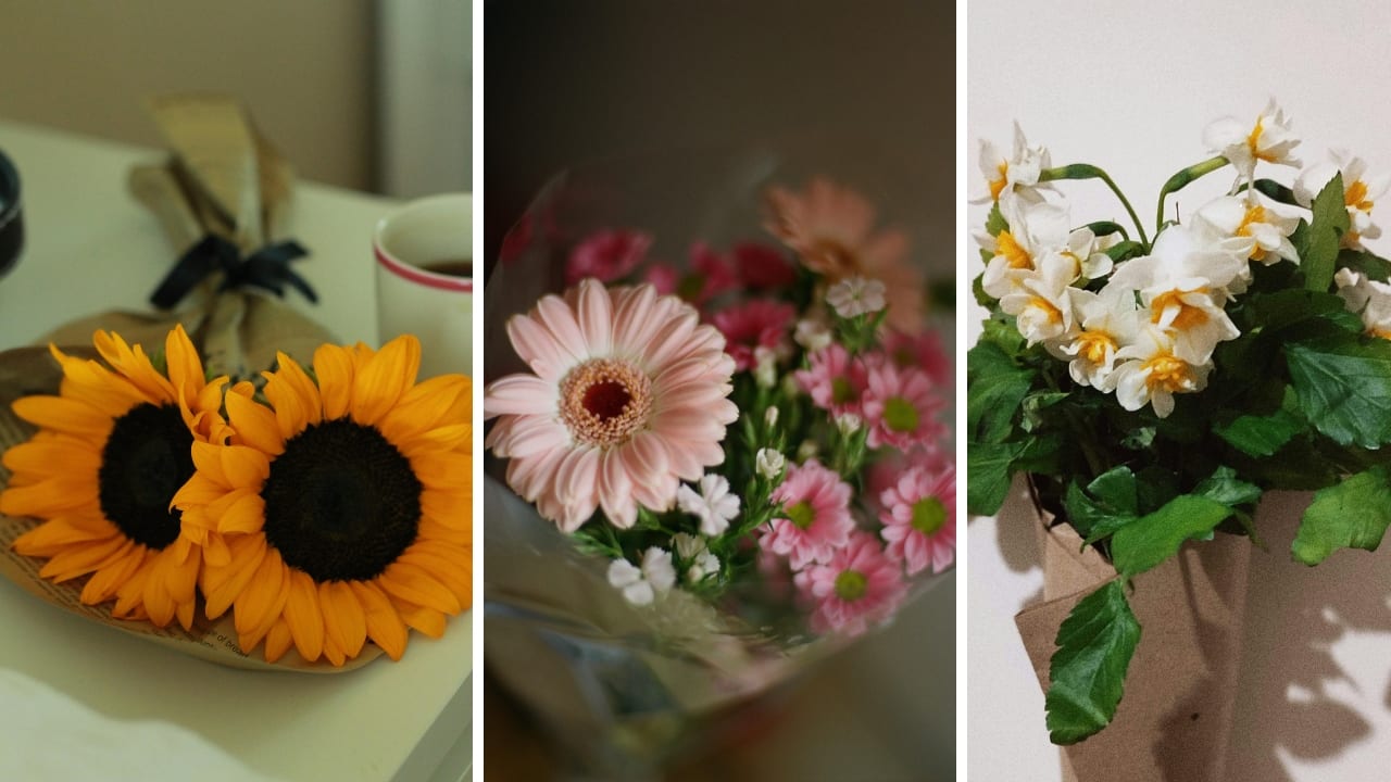 Valentine’s Week 2026: 7 thoughtful flowers you can gift your love that are not roses