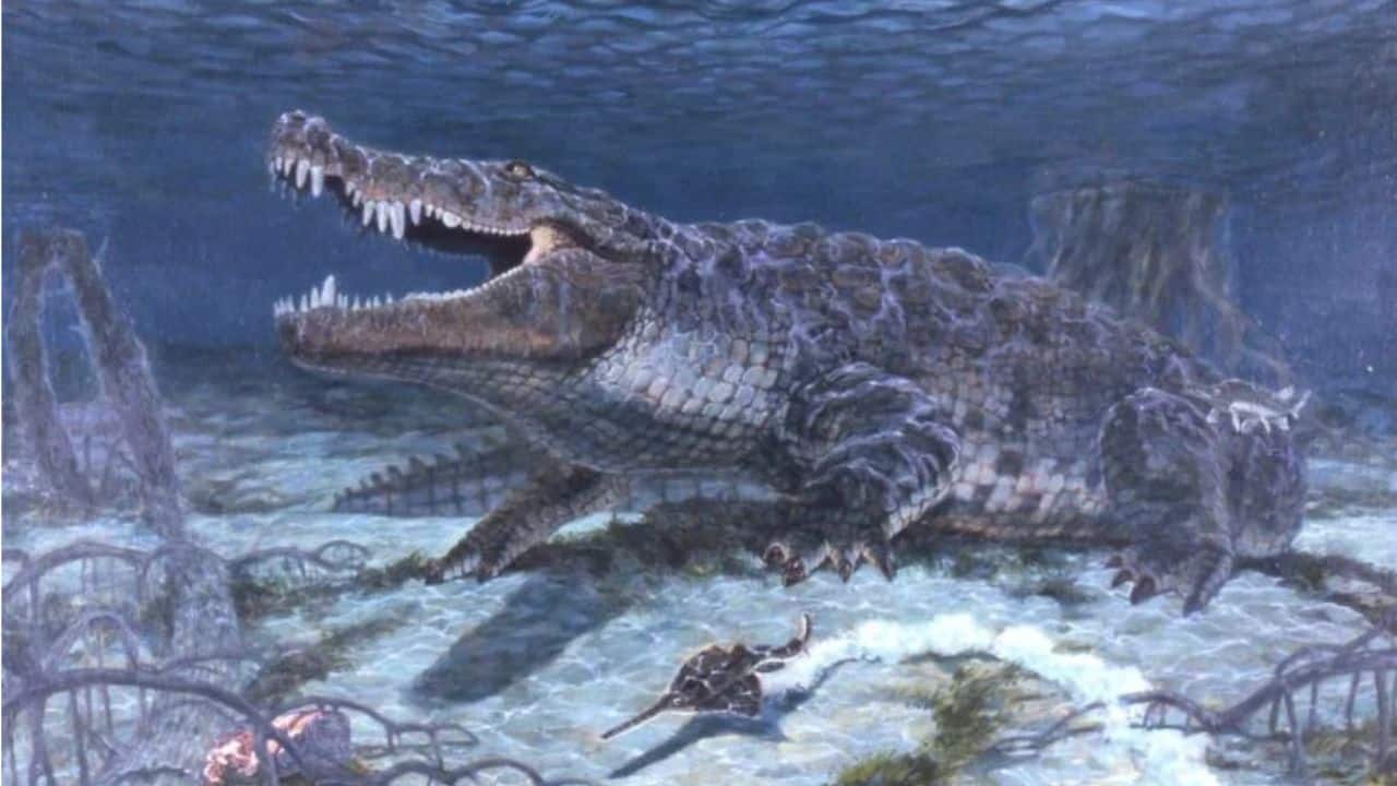 Scientists rebuild a 31-foot ‘dinosaur killer’ crocodile that terrified prehistoric ecosystems