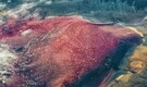 Tanzania's beautiful but dangerous blood-coloured lake turns animals stone-still, here’s how