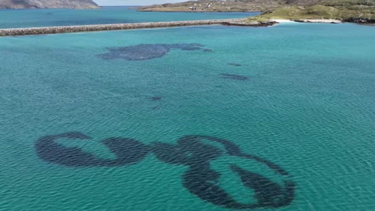 Mysterious “fairy circles” appear in Scottish waters, scientists warn they may fade