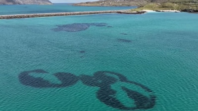 Scientists Find Strange Circles in Scottish Waters. (Image: YouTube/@ NatureScot)