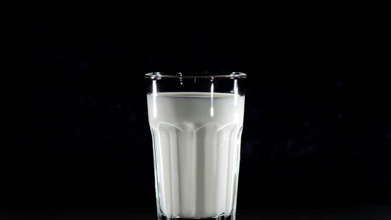 Coliform bacteria found in Amul milk? Health risks, prevention tips and how to check adulteration