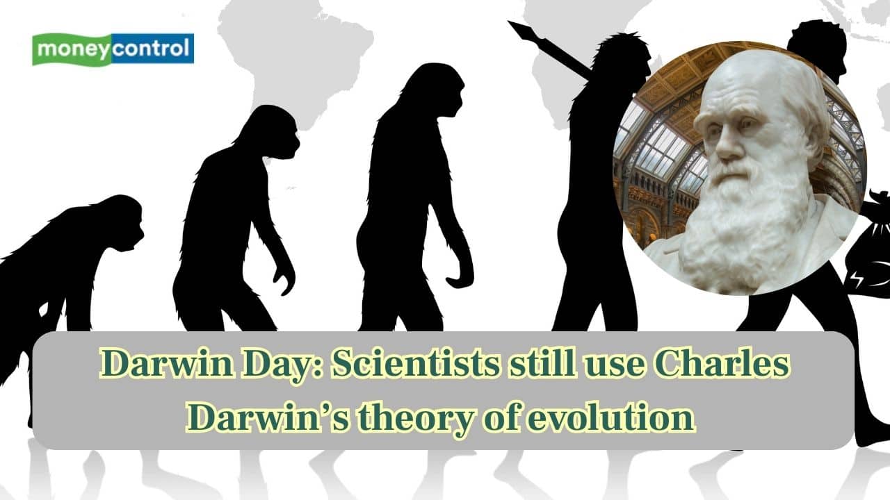 Darwin Day: How Charles Darwin cracked the "code of evolution"—And scientists still use this today!