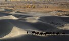 China’s tree-planting drive turns the harsh Taklamakan desert from a biological void into a carbon sink