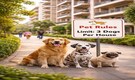 Bengaluru civic body mulls cap on number of pet dogs per household, internet reacts