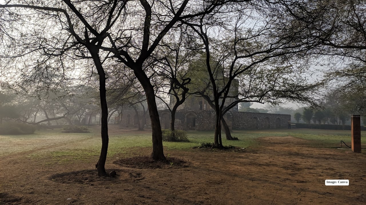 Mehrauli Archaeological Park