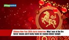 Chinese New Year 2026 starts tomorrow: What 'year of the fire horse' means and 8 lucky foods for reunion dinner tonight