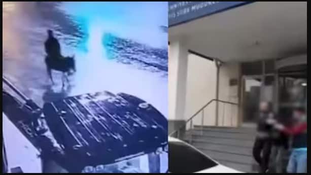 Man uses forklift to break into jewellery shop, escapes on donkey in Turkey