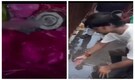 ‘Blind faith or innocence?’: Viral video shows devotees treating leaked water as divine