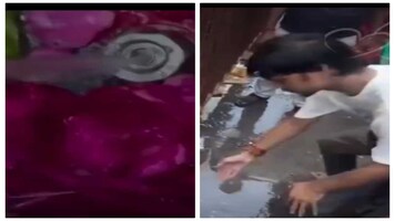‘Blind faith or innocence?’: Viral video shows devotees treating leaked water as divine