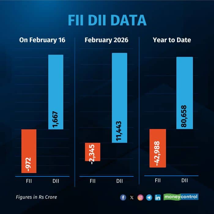 fii-dii-daily-graphic160226