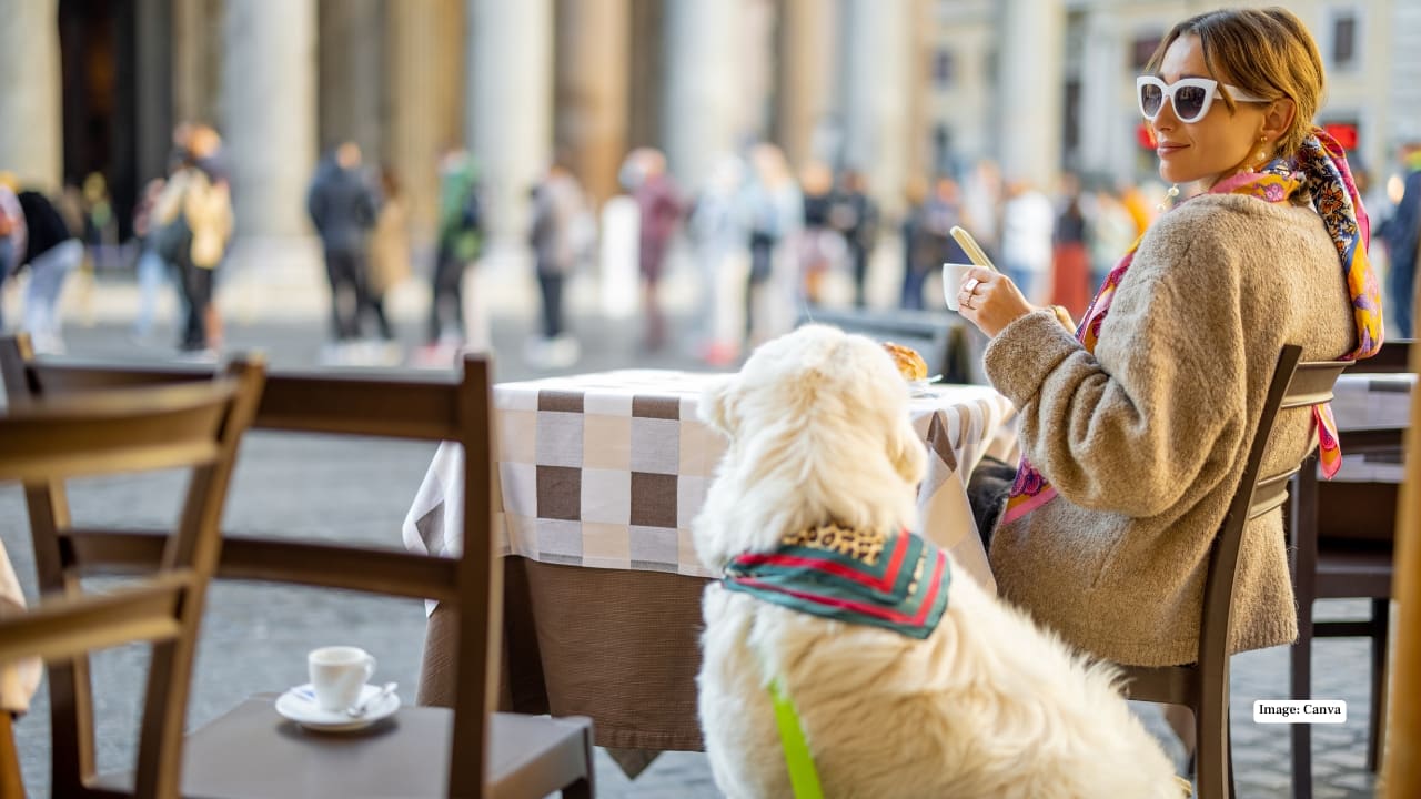 5 best pet-friendly European destinations to travel with your pets