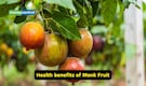 3 natural sweeteners that do not spike blood sugar levels
