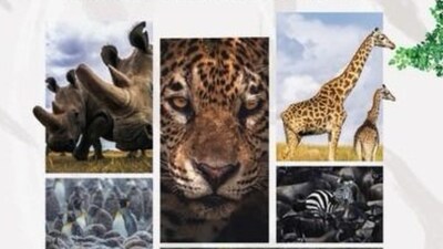 Animal Planet