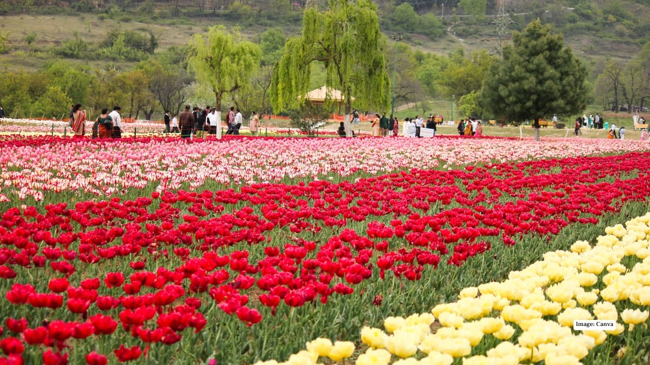 Srinagar, India