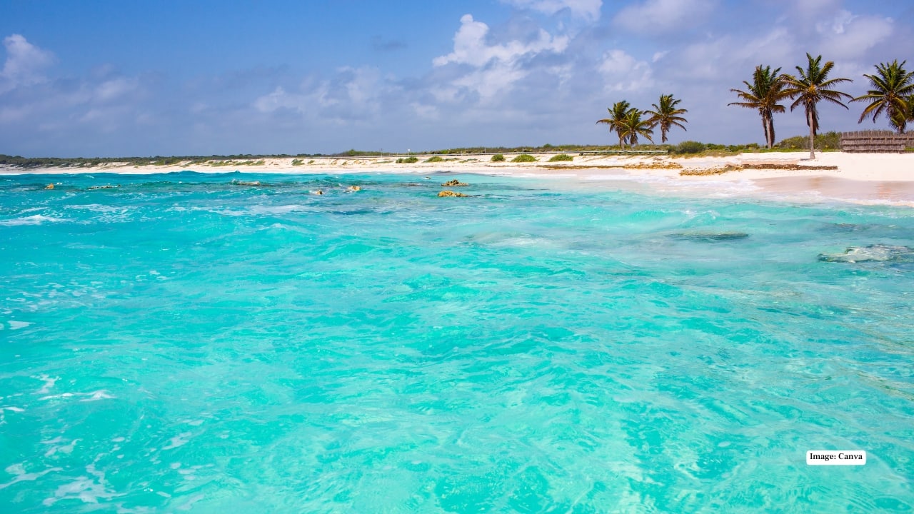 <strong>1. Isla Pasion, Cozumel, Mexico</strong><br />Topping the list is Isla Pasion in Cozumel, Mexico. Travellers describe it as an ideal spot to disconnect, with attentive staff, organised activities and comfortable shaded seating areas. The calm shoreline and clear Caribbean waters make it suitable for both relaxation and light water activities. Visitors often highlight the well-managed facilities and on-site dining options, which add to the overall ease of spending an entire day by the sea.