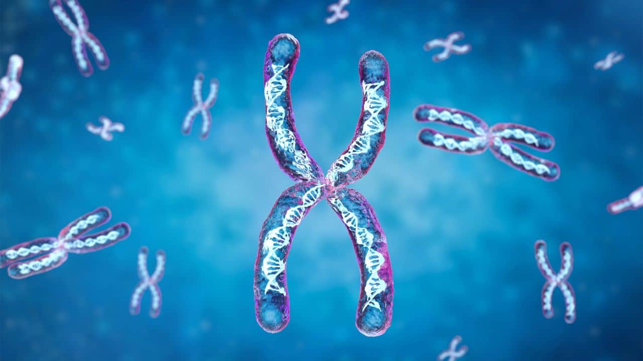 Men lose Y chromosome with age: Scientists now link it to shorter lives and serious illness