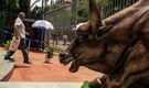 Bandhan Small Cap Fund that outperformed 93% of peers turns to internet value stocks