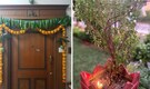 10 best Vastu-approved flowers and plants that bring prosperity to your house