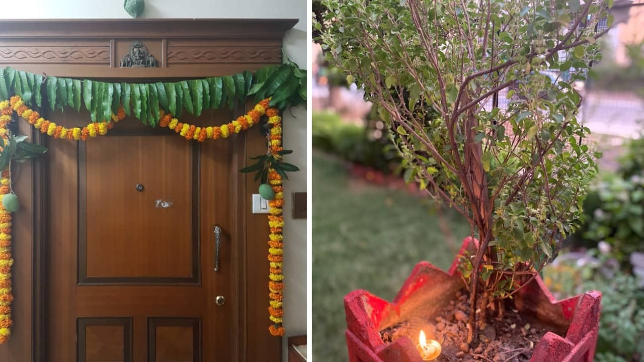 10 best Vastu-approved flowers and plants that bring prosperity to your house