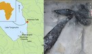 World’s oldest wooden structure is 476,000 years old— And it was built before homo sapiens in Africa