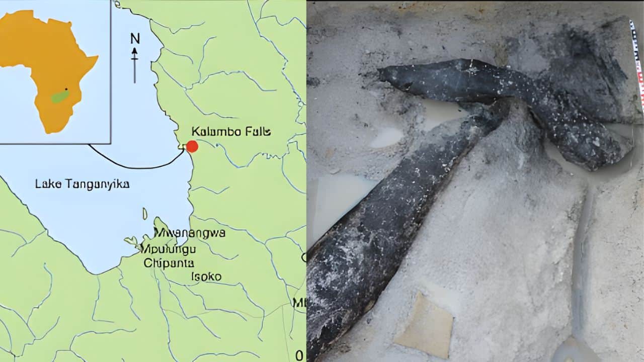World’s oldest wooden structure is 476,000 years old— And it was built before homo sapiens in Africa