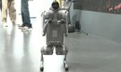 Wipro showcases Unitree Go2 robot dog at Delhi AI Summit after Galgotias controversy