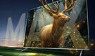 Xiaomi introduces QLED TV X Pro 75 in India with 4K Ultra HD resolution and Dolby Vision: Price, specs