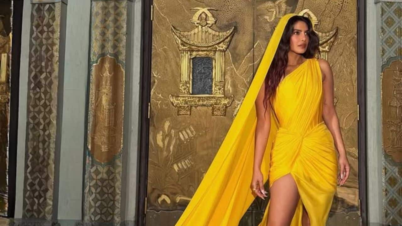 Gaurav Gupta’s Saree-Inspired Couture Speaking about the ensemble, Priyanka shared that there’s a quiet power in its simplicity. The couture gown featured a pleated, pallu-inspired drape structured elegantly over the shoulder. The fabric flowed seamlessly down her back, extending into a dramatic, floor-sweeping train. Adding her own touch to the styling, Priyanka draped the flowing detail over her head, transforming it into a cape-like silhouette that elevated the look with a regal finish. Gaurav Gupta’s Saree-Inspired Couture Speaking about the ensemble, Priyanka shared that there’s a quiet power in its simplicity. The couture gown featured a pleated, pallu-inspired drape structured elegantly over the shoulder. The fabric flowed seamlessly down her back, extending into a dramatic, floor-sweeping train. Adding her own touch to the styling, Priyanka draped the flowing detail over her head, transforming it into a cape-like silhouette that elevated the look with a regal finish.
