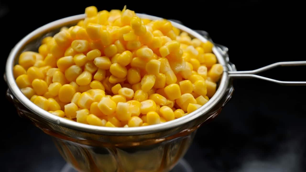 6 reasons why sweet corn is a doctor's favourite superfood