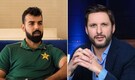'Beta perform karo': Shahid Afridi slams Shadab Khan following 'they have never beaten India in World Cup' remark