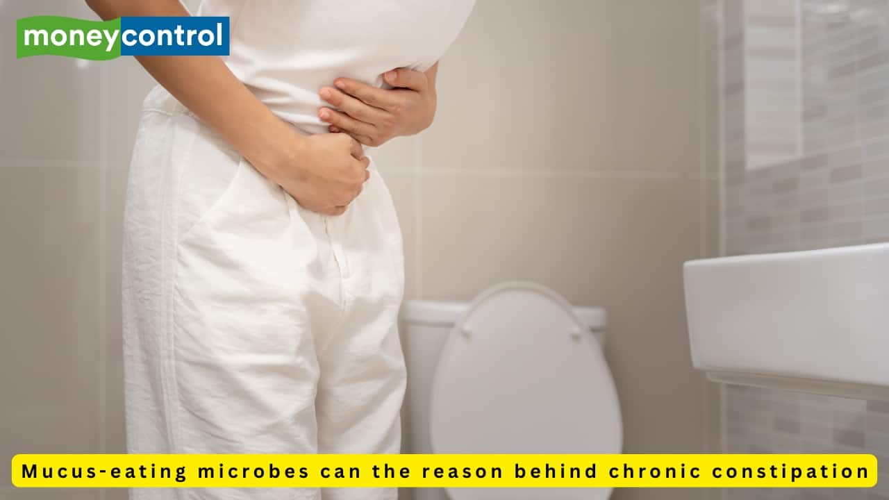 Chronic constipation can be caused by mucus-eating microbes, warns study