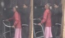 Disturbing video shows woman dragging elderly mother by hair - 'Narak me bhi jagah nahi milegi'