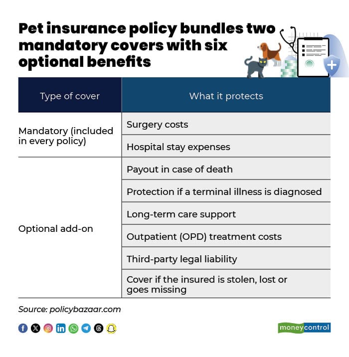 Pet insurance policy bundles two