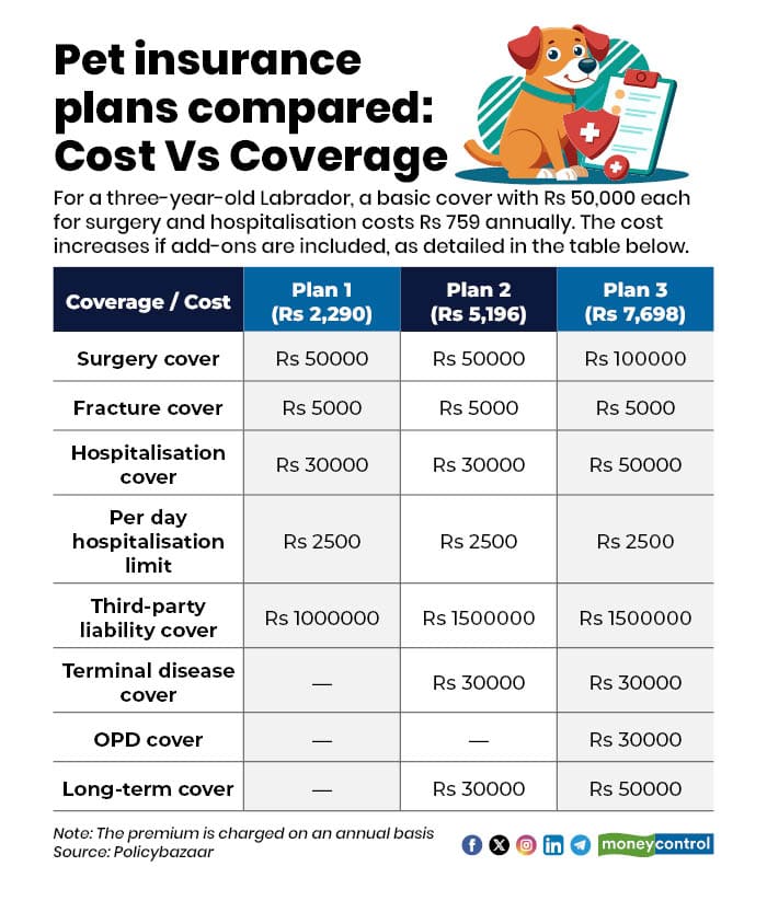 Pet insurance plans