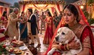 UP bride calls off wedding after groom’s relatives beat her dog, family clash leaves guests injured