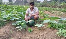 Mann Ki Baat: PM Modi shares inspiring story of young Odisha farmer Hirod Patel