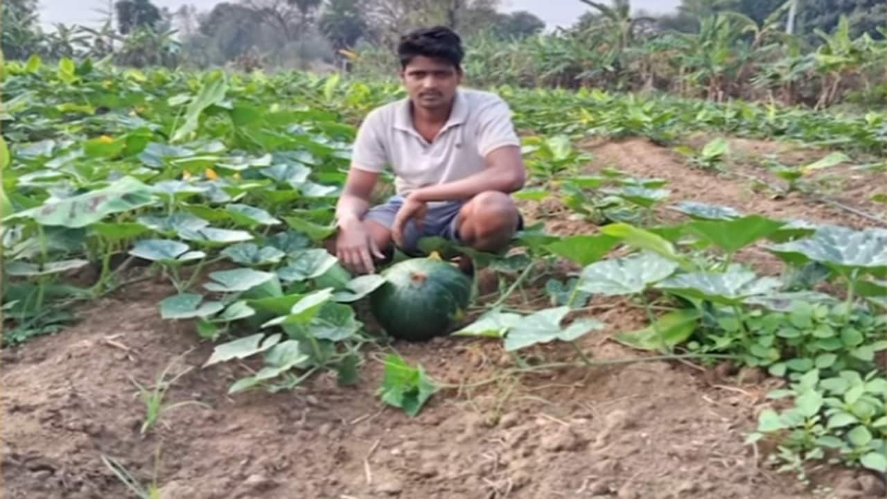 Mann Ki Baat: PM Modi shares inspiring story of young Odisha farmer Hirod Patel