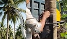 Meet Cocobot – This 11-kilogram robotic device is designed to climb 20-metre palm trees of Kerala
