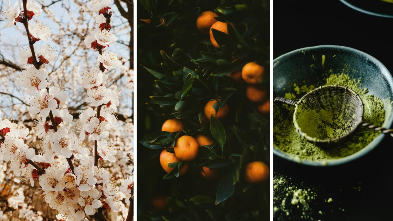 5 Japanese skincare ingredients that will give you a healthy glow