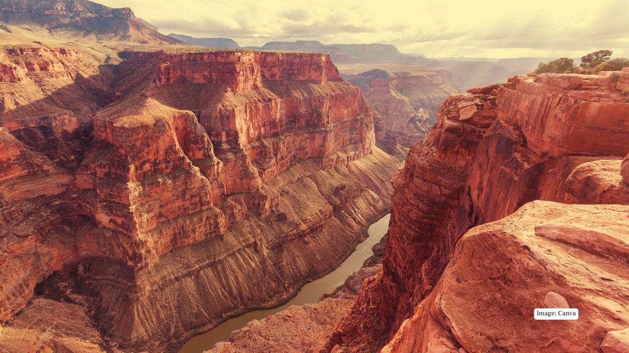 Image: Canva