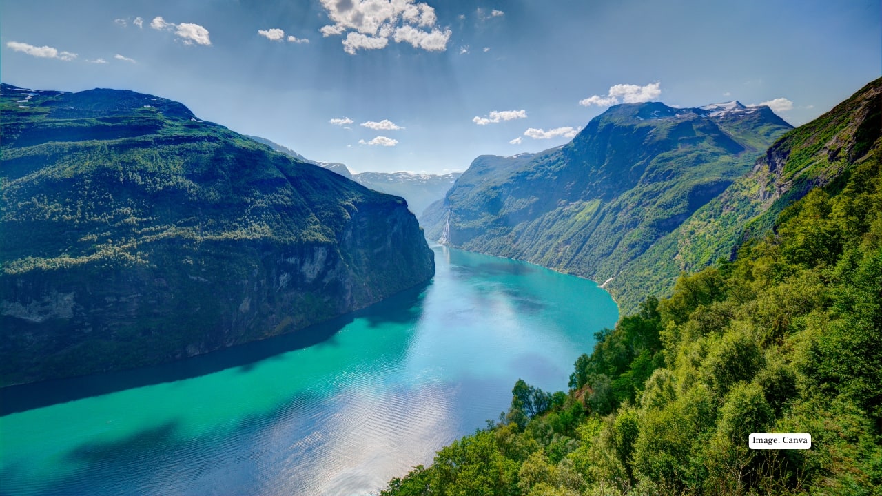 Image: Canva