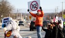 'ICE agents get money per head that they detain': UK woman detained in US despite valid tourist visa