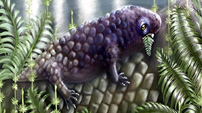 Tyrannoroter heberti, is one of the earliest known plant-eaters on land. (Image: Nature Ecology and Evolution)