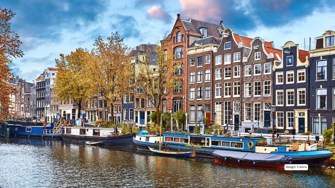 Image: Canva
