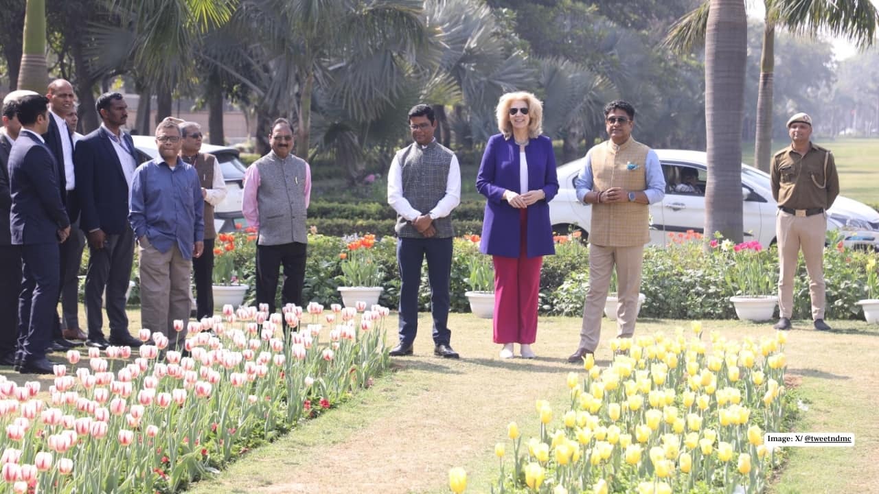 NDMC Tulip festival