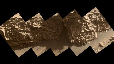 These small, rounded nodules formed from minerals deposited as ancient groundwater slowly evaporated on Mars billions of years ago. NASA’s Curiosity rover photographed the pea-sized features on 21 August 2025 while examining boxwork rock formations. (Image: NASA)