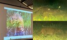 Project Fishing Cat: Kaziranga National Park records 57 Fishing Cats in its first focused survey