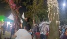 ‘Thoda toh civic sense rakho’: Viral video shows people stealing flowers at Noida’s Shivalik Park
